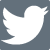 social-icons-twitter-master